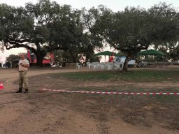 2023-09-29 SALAMANDRA II